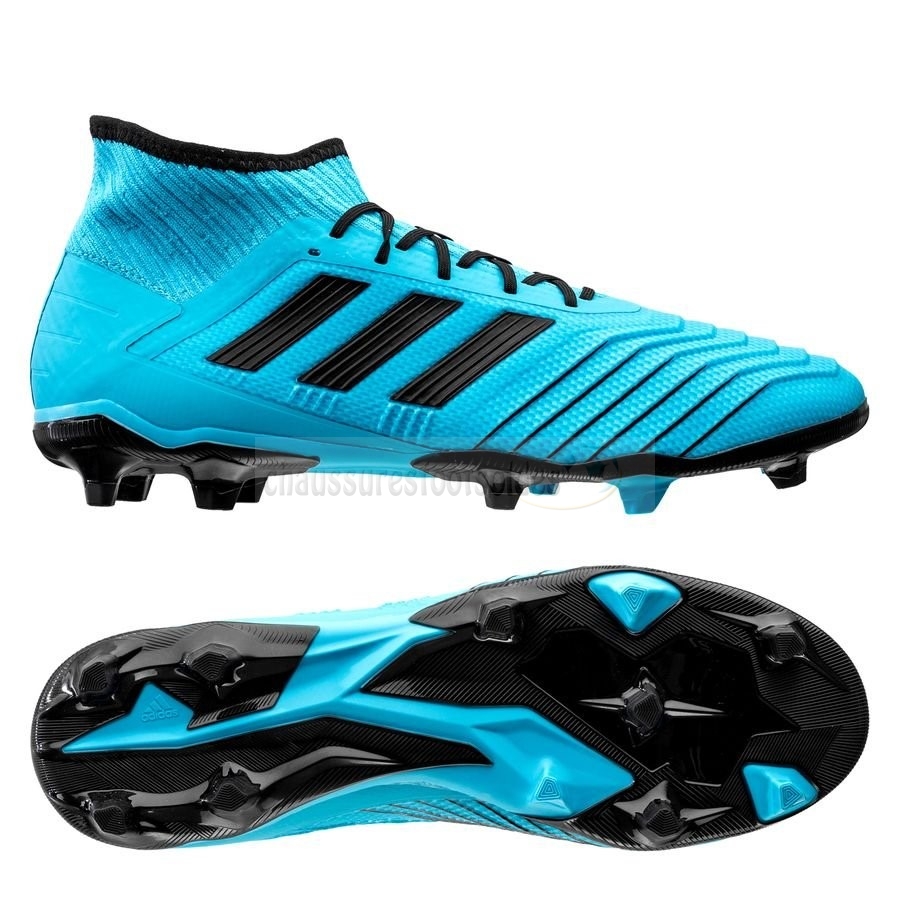 Adidas Crampon De Foot Predator 19.2 FG/AG Bleu